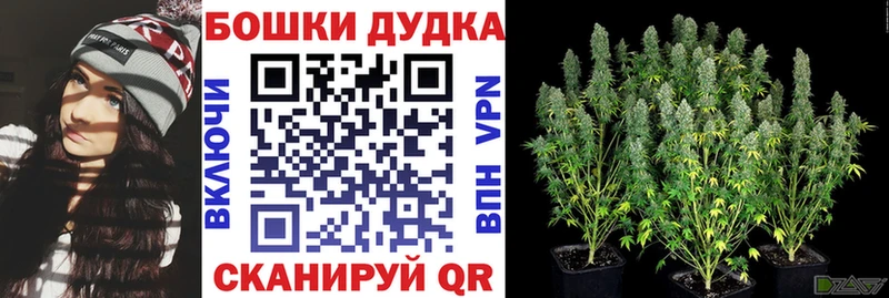Все наркотики Красноуральск Гашиш A-PVP МЕФ Марихуана