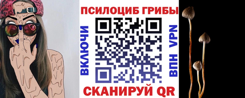 Галлюциногенные грибы Psilocybe  Красноуральск 