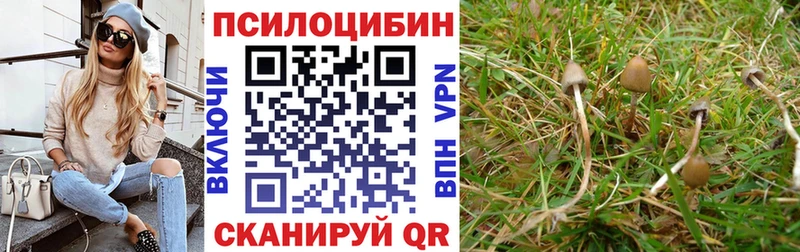 Псилоцибиновые грибы Psilocybine cubensis Красноуральск
